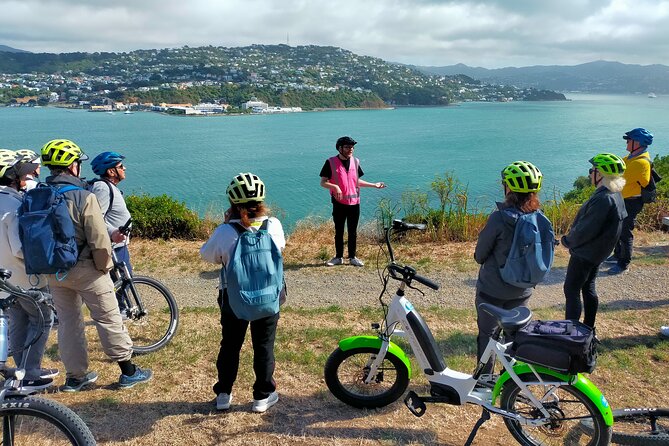 Wellington Guided eBike Tour-Cruise Shore Excursion - Key highlights