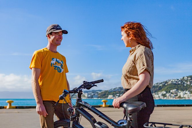 Wellington Guided eBike Tour-Cruise Shore Excursion - Wellington Harbour and the city’s first impression