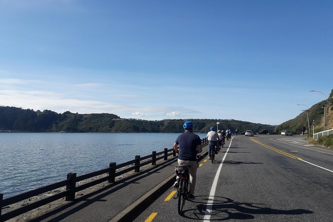 Wellington Guided eBike Tour-Cruise Shore Excursion - Cog Park café break, then Te Papa and the Mt Victoria photo run