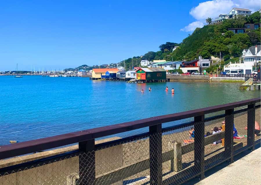 Wellington: Guided Sightseeing Tour by Electric Bike - Miramar Peninsula coast ride and a café tea or coffee pause
