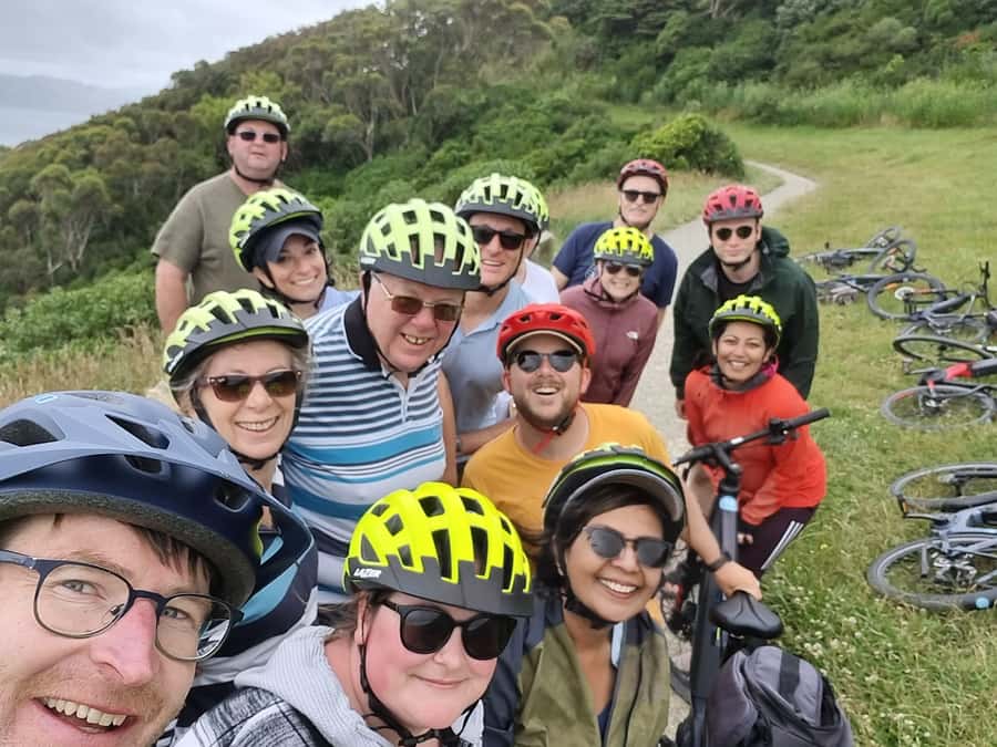 Wellington: Guided Sightseeing Tour by Electric Bike - Price and value at $116 per person