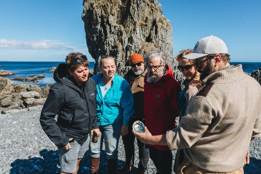 Wellington: Half Day Seal Coast Safari - Terawhiti Station, Wind Power, and the Capital Kiwi Project
