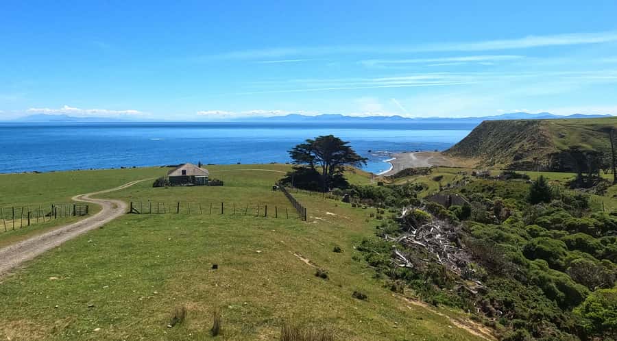 Wellington: Half Day Seal Coast Safari - What the Safari Feels Like: Weather, Pacing, and the 4WD Jolt