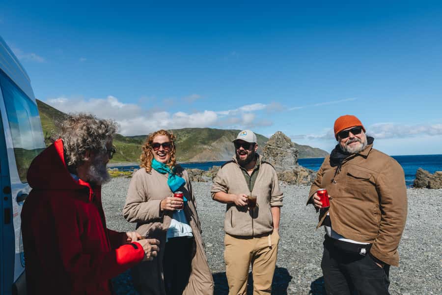 Wellington: Half Day Seal Coast Safari - Who Should Book (and Who Might Prefer Something Else)