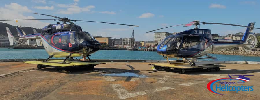 Wellington Helicopter Scenic Flight - Key things to know before you go