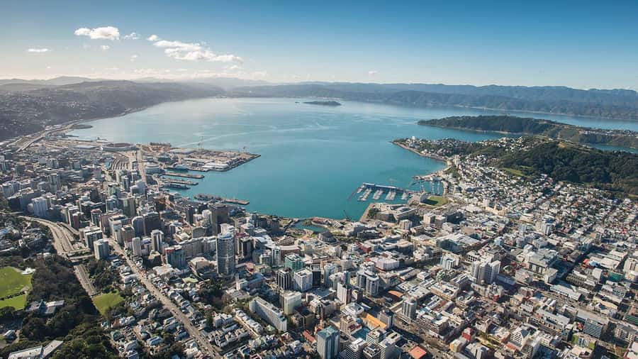 Wellington Helicopters Scenic Harbour Flight - From the ground to the harbour, here’s what the 15 minutes actually gives you