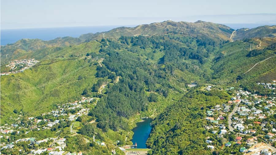 Wellington Helicopters Scenic Harbour Flight - Price and value: is $178 for 15 minutes worth it?