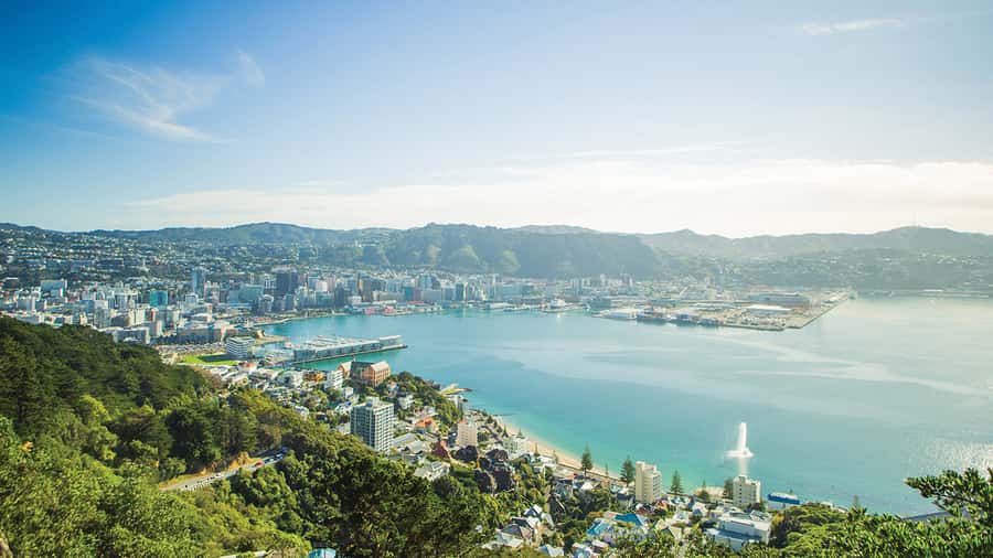 Wellington Helicopters Scenic Harbour Flight - Wellington Harbour from above: seeing the edges, not just the skyline