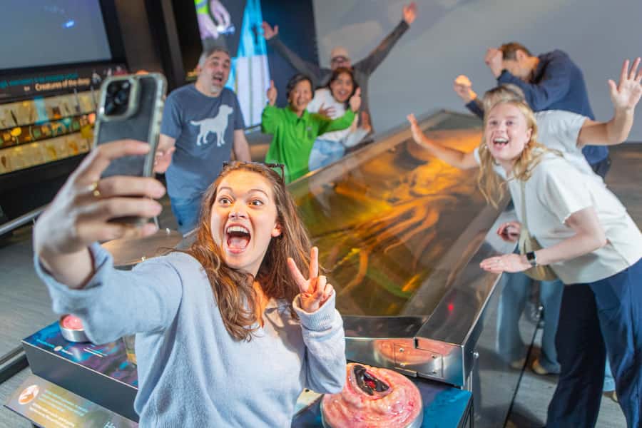 Wellington: Museum of NZ General Admission - National Art Collection moments worth planning for