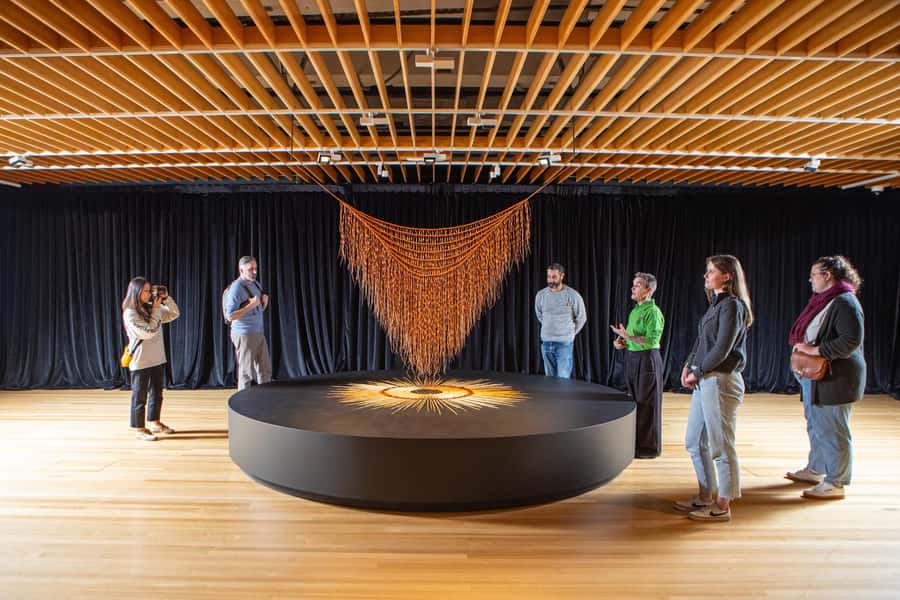 Wellington: Museum of NZ General Admission - 48 hours inside a national museum is the real value