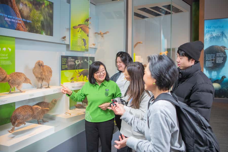 Wellington: Museum of NZ Guided Tour & General Admission - Key points to know before you go