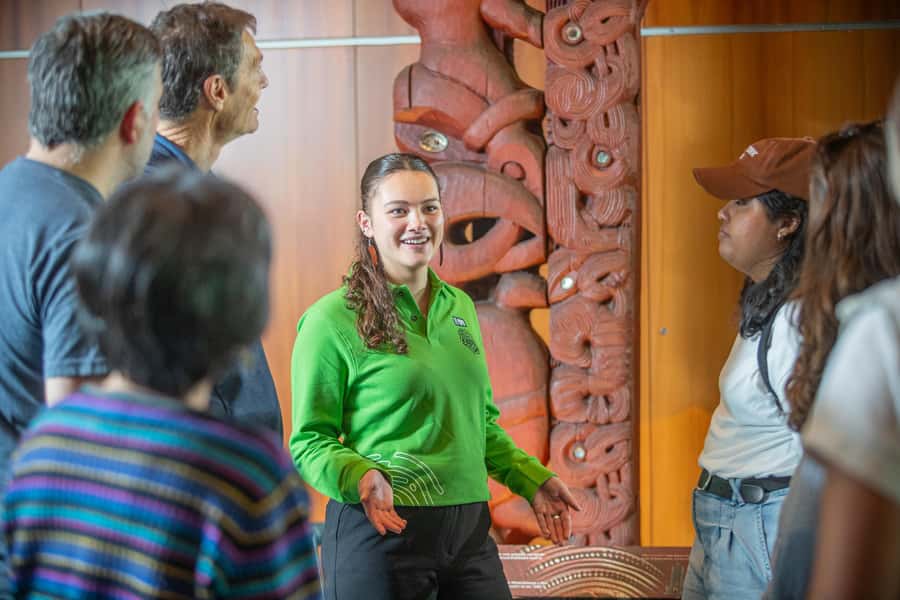 Wellington: Museum of NZ Guided Tour & General Admission - Te Papa in an hour, with a guide who makes it make sense