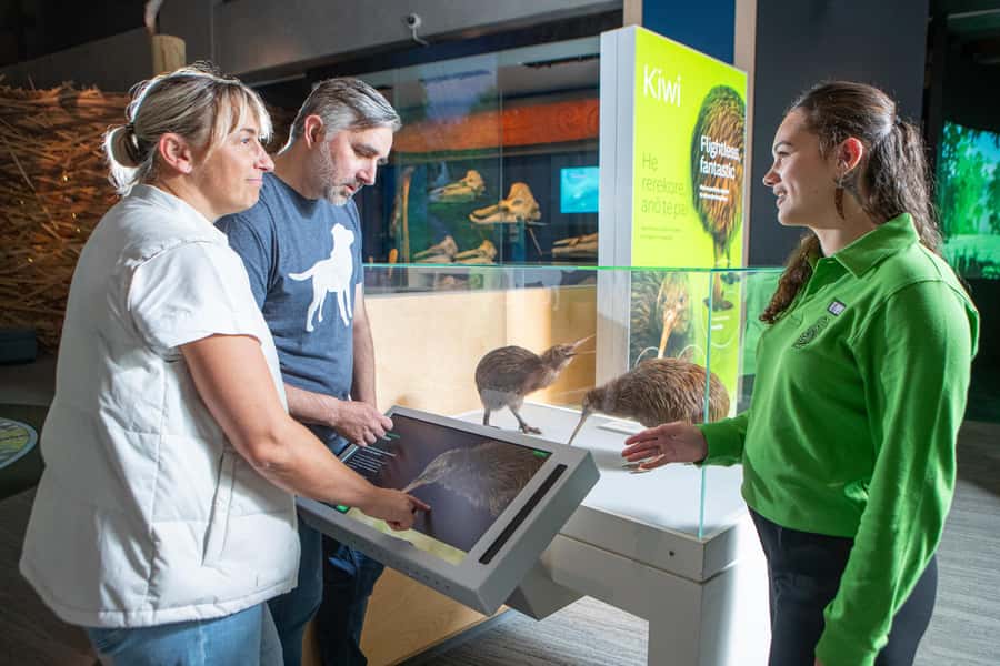 Wellington: Museum of NZ Guided Tour & General Admission - Maori treasures: traditions, art, and the stories behind them