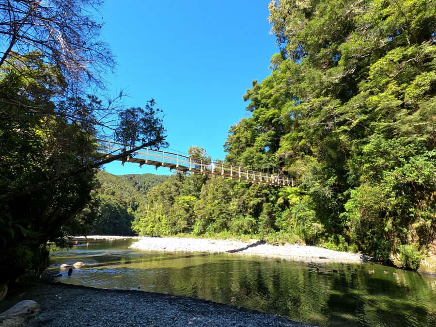 Wellington: Original LOTR Full-Day Tour with Weta & Lunch - Gardens of Isengard: Gandalf, Saruman, and Fangorn vibes