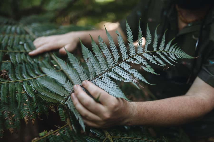 Wellington: Original LOTR Full-Day Tour with Weta & Lunch - Weather, shoes, and what to pack for an 8-hour LOTR day