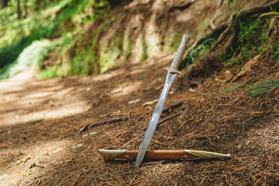 Wellington: Original LOTR Half-Day Experience with Weta - Guide quality is a real part of the product
