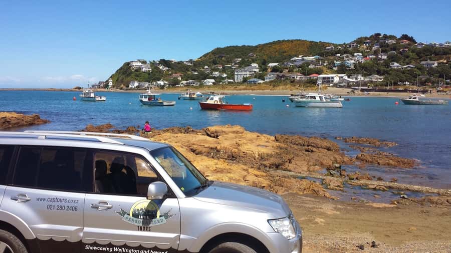 Wellington: Private Day Tour with Lunch - Key things worth knowing