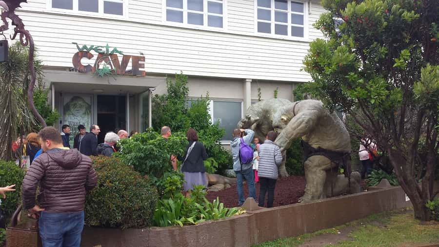 Wellington: Private Day Tour with Lunch - A private Wellington loop that actually fits your day