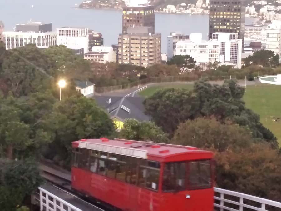 Wellington: Private Day Tour with Lunch - Beehive, Parliament buildings, and Wellington’s oldest church