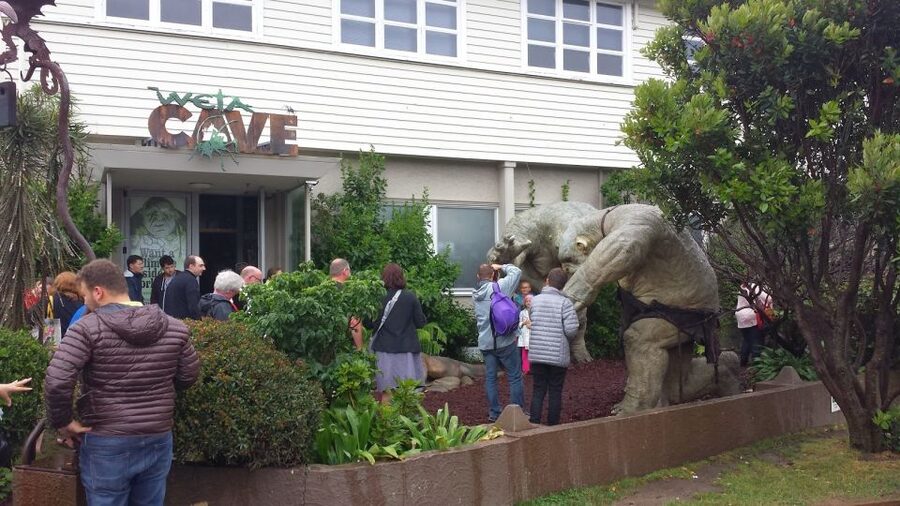 Wellington: Private Day Tour with Lunch - What the fully inclusive setup buys you