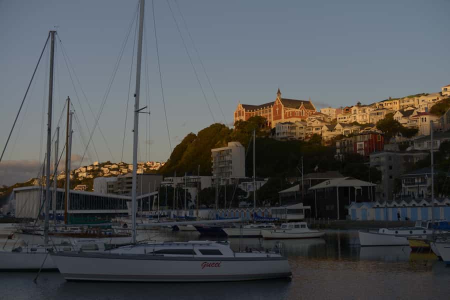 Wellington: Private Day Tour with Lunch - Morning pickup at 9:30, then straight to Mt Victoria