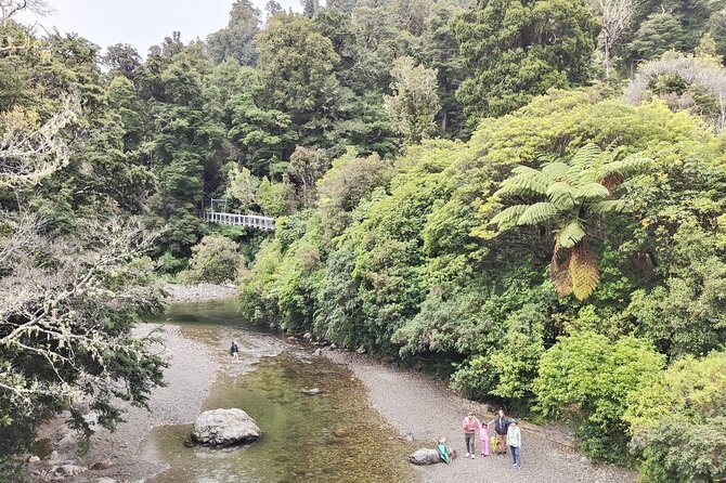 Wellington Region Full Day Private Tour: Get out of the City - Stop 1: Porirua Harbour, a slow start and a good launch point