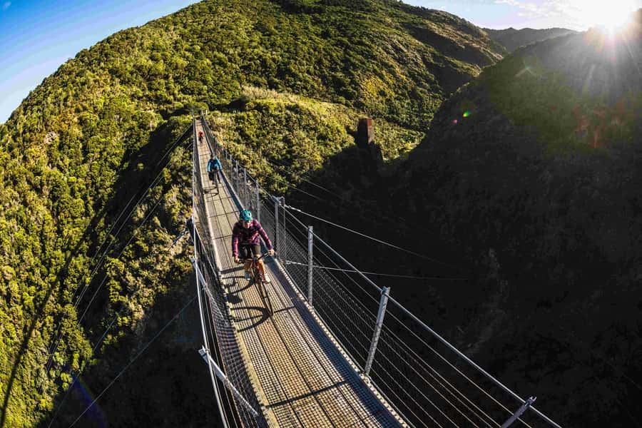 Wellington: Remutaka Rail Trail Cycle Tour - Wellington pickup to Kaitoke: the day starts with the van