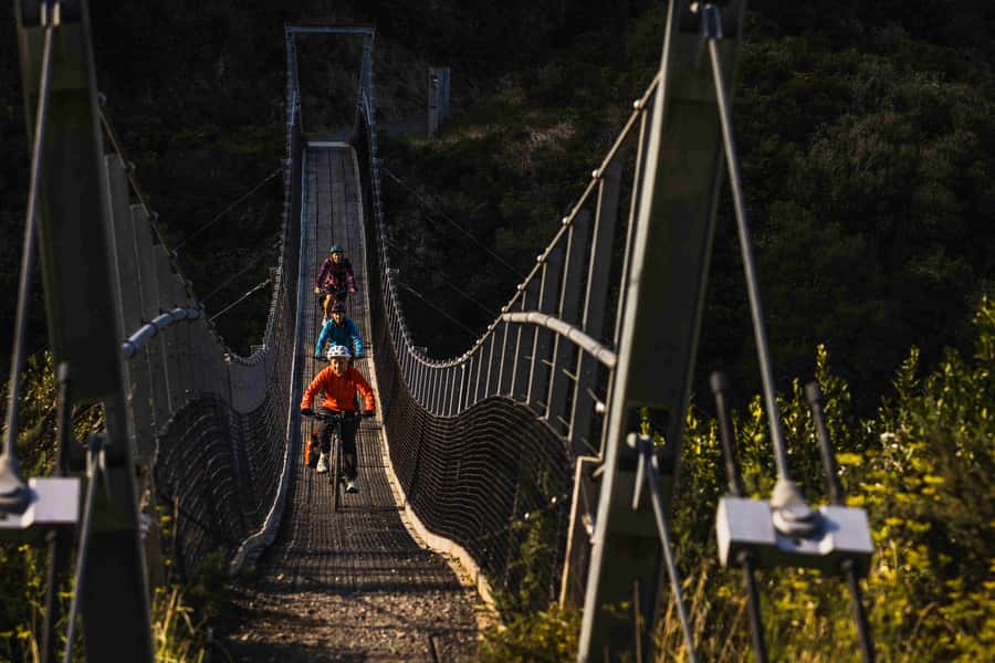 Wellington: Remutaka Rail Trail Cycle Tour - Bridges, fell railway clues, and what the photos won’t show