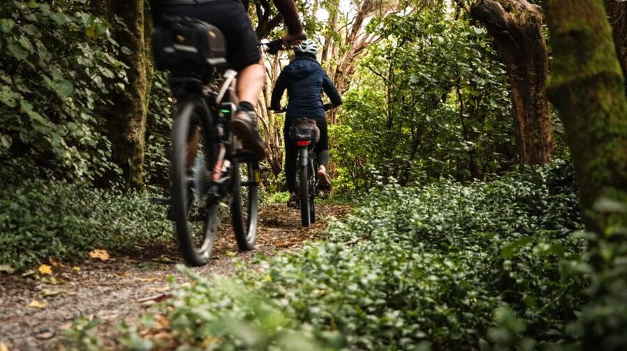 Wellington: Remutaka Rail Trail Cycle Tour - Featherston to Wellington: the final stretch feels like a breather