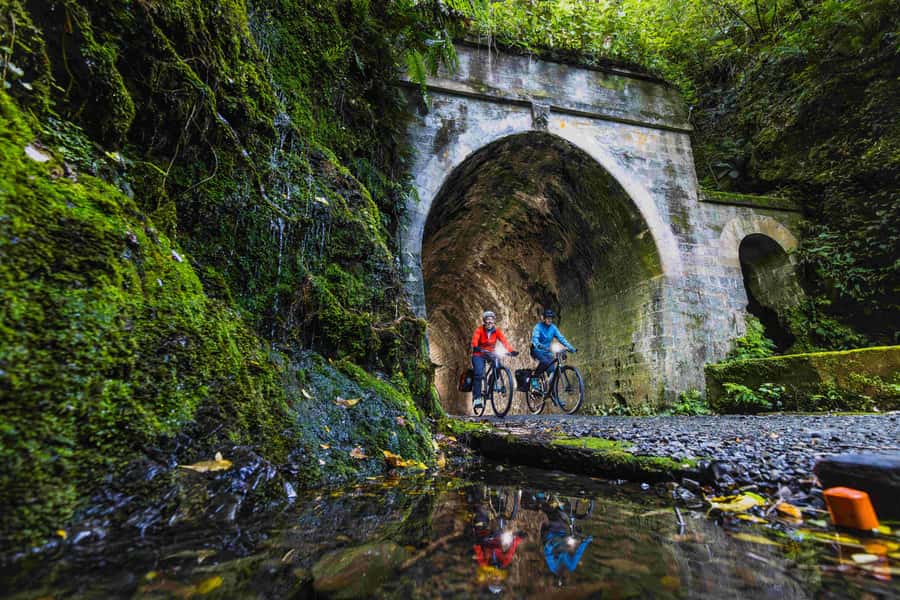 Wellington: Remutaka Rail Trail Cycle Tour - Kaitoke climb: native bush, gentle start, and tunnel time