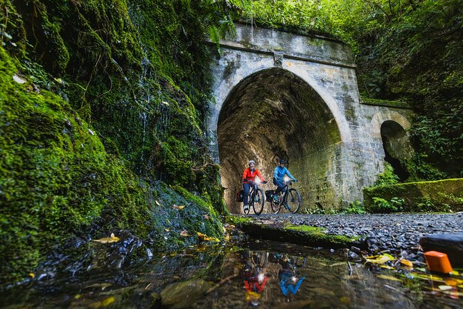 Wellington Remutaka Rail Trail eBike Cycle Tour - What the Remutaka Rail Trail feels like on electric power