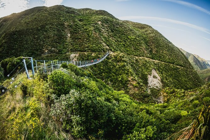 Wellington Remutaka Rail Trail eBike Cycle Tour - Kaitoke to the rail corridor start, then straight into forest