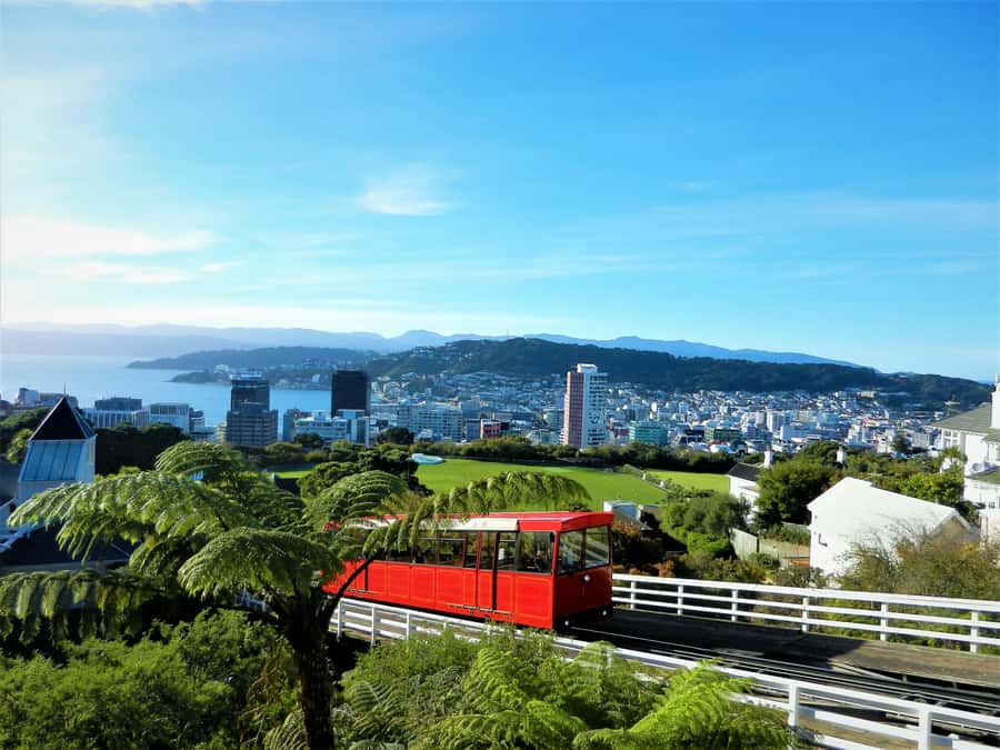 Wellington: Return Cable Car Ticket - What you get at the top: Cable Car Museum, gardens, cafe time, and views that matter