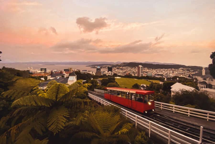 Wellington: Return Cable Car Ticket - Your return decision: a steep but scenic 40-minute walk, or a simpler ride down