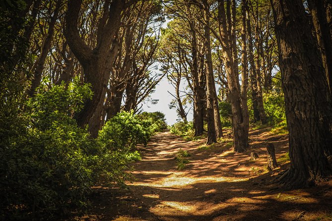 Wellington's Original HD LOTR Experience - includes Weta Tour - Weta Workshop: what the studio tour actually delivers