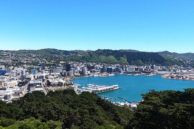 Wellington's Original HD LOTR Experience - includes Weta Tour - Photo rules and timing: the one thing that can change your mood