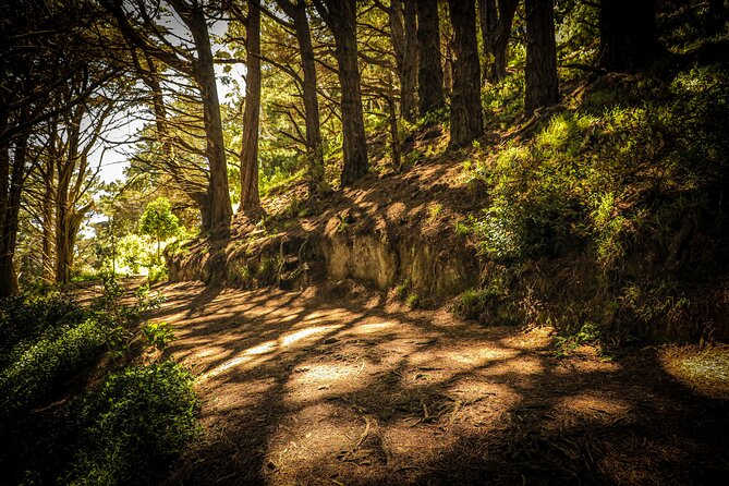 Wellington's Original HD LOTR Experience - includes Weta Tour - Small-group energy, guide style, and how to get the most out of the bus time