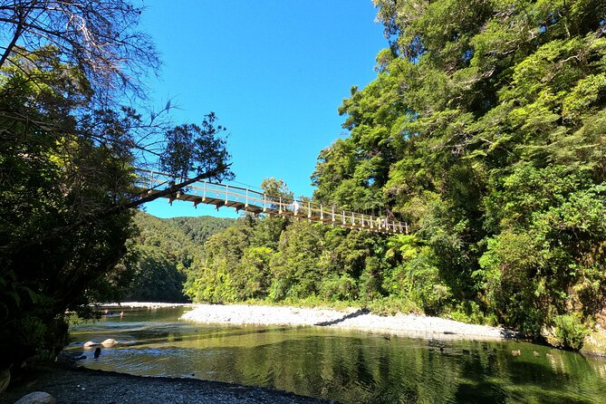 Wellington's Original LOTR Experience - includes Weta and Lunch - Kaitoke Regional Park Rivendell walk: where nature does half the work