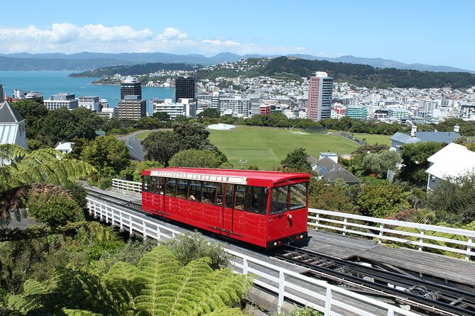 Wellington Scenic Full Day Tour - Key things to know before you go