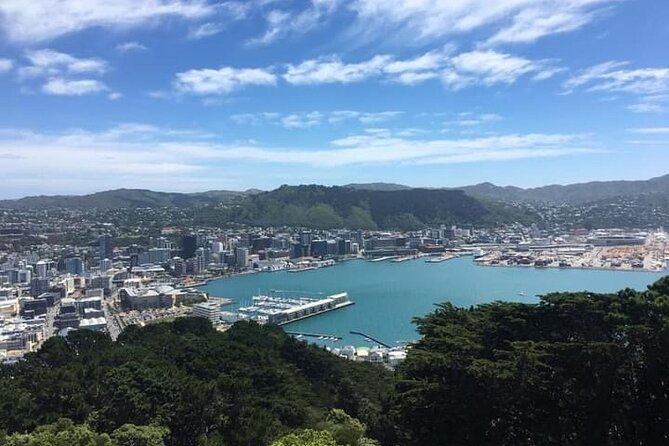 Wellington Scenic Full Day Tour - Wellington, Packed Into One Day Without the Big-Bus Feeling