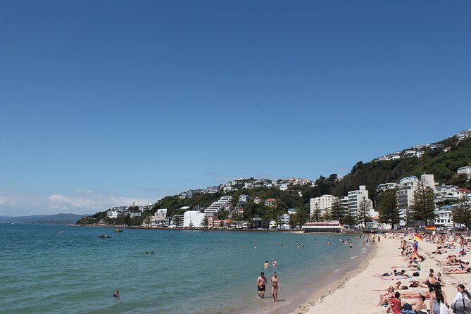 Wellington Scenic Full Day Tour - Wellington Cable Car Plus Rose Garden and the Waterfront Photo Run