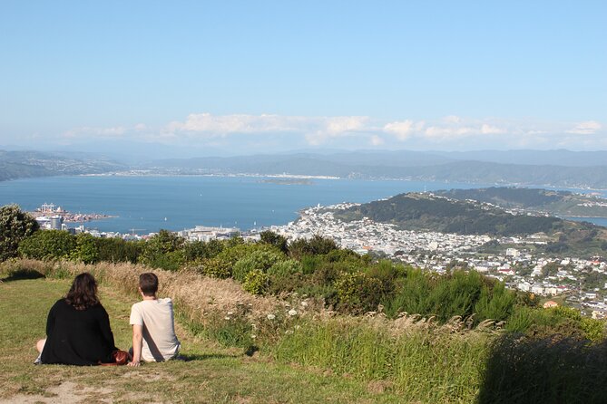 Wellington Scenic Full Day Tour - Mount Victoria Lookout and the Views That Make It Worth the Drive