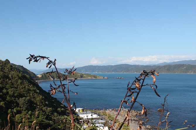 Wellington Scenic Full Day Tour - Parliament Grounds, Old St Paul’s Cathedral, and Quick Stops That Set the Tone