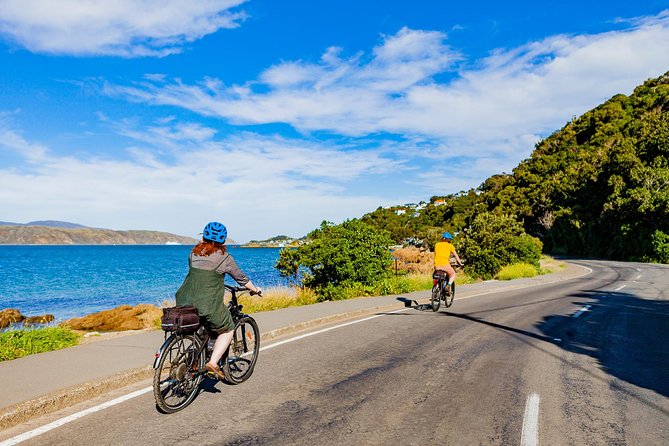 Wellington Self-Guided Electric Bike Tour - Stop-by-Stop: Waterfront Views, a Lookout Climb, and the Film Stop