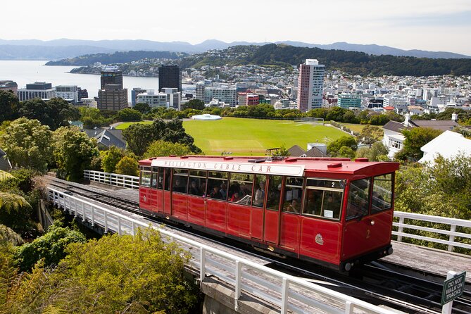 Wellington Shore Excursion City Sightseeing Tour - Key highlights worth your attention