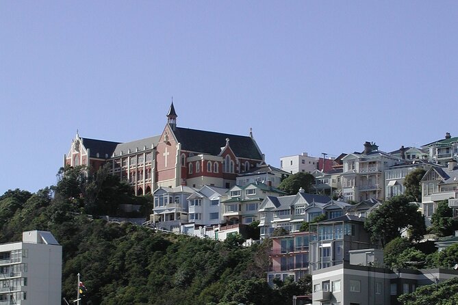 Wellington Shore Excursion City Sightseeing Tour - Lyall Bay and the rugged coast drive past Wellington Airport