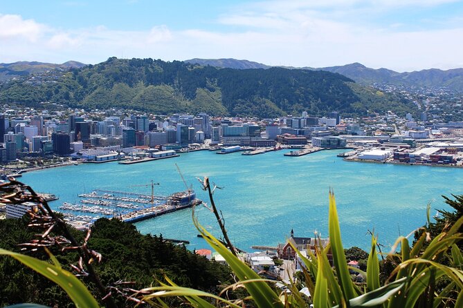Wellington Shore Excursion City Sightseeing Tour - Coach time, guide quality, and why some tours run longer