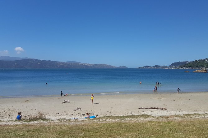 Wellington Shore Excursion: From Cave to Coast Highlights Private Tour - Price and value: what $159.12 gets you in Wellington time