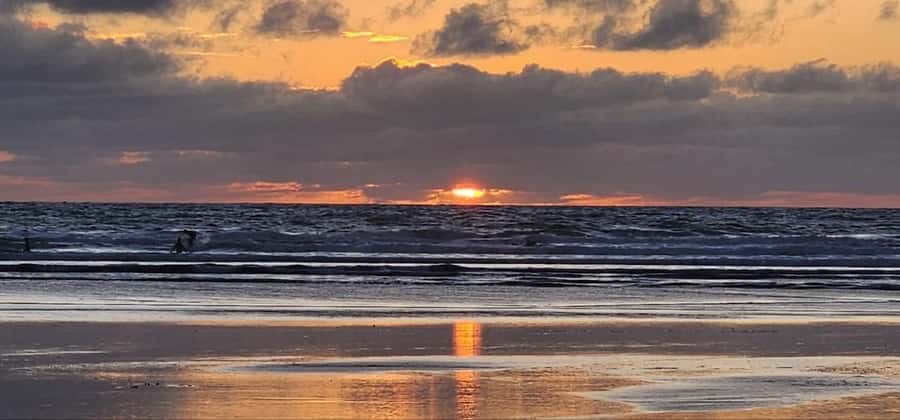 West Auckland: Sunset with Thermal pool & Wine Tasting - Waitakere Ranges Learning and Auckland Harbor by Ferry from Devonport
