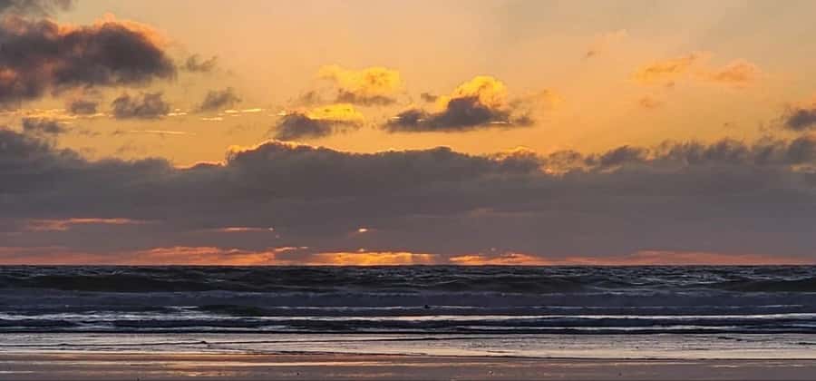 West Auckland: Sunset with Thermal pool & Wine Tasting - Palm Springs Geothermal Pools: Warm Water, Mineral Reset, and Pool Time